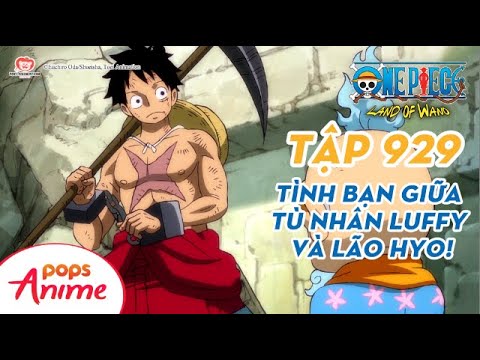 One Piece Tập 929 - Tình Bạn Giữa Tù Nhân Luffy Và Lão Hyo! - Đảo Hải Tặc Lồng Tiếng Việt