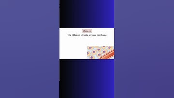 WHAT IS OSMOSIS? Is it the same as diffusion? #osmosis #diffusion #blood #water #physiology #cell
