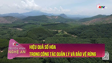 Hiệu quả số hóa trong công tác quản lý và bảo vệ rừng