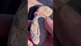 Nice pieces of granite #Granite #RockCollecting #RockHounding#RobertTown’s#nmtrue