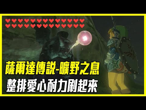[The Legend of Zelda: Breath of the Wild] Techniques for rapid increase in HP (heart) and endurance