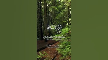 رسائل صباحية 🤍🤍 #قرآن #قران #قران_كريم #تلاوات #تلاوة #تلاوة_خاشعة #راحة_نفسية #صباح_الخير