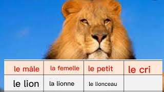 .Vocabulaire : le monde des animaux