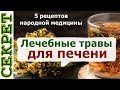 Печень можно вылечить травами - проверенные рецепты