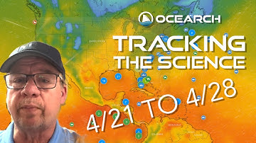 WEEKLY SHARK PING UPDATE WITH OCEARCH DATA SCIENTIST JOHN TYMINKSI (WEEK 6)