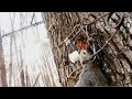 How to set a Tree Set trap for Squirrel - Conibear 110