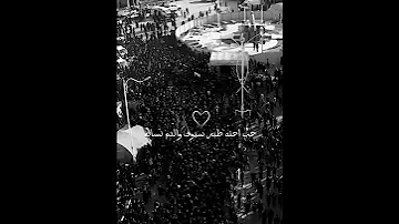 الشيعه حبهم غير اكسبلور لايك Shorts 
