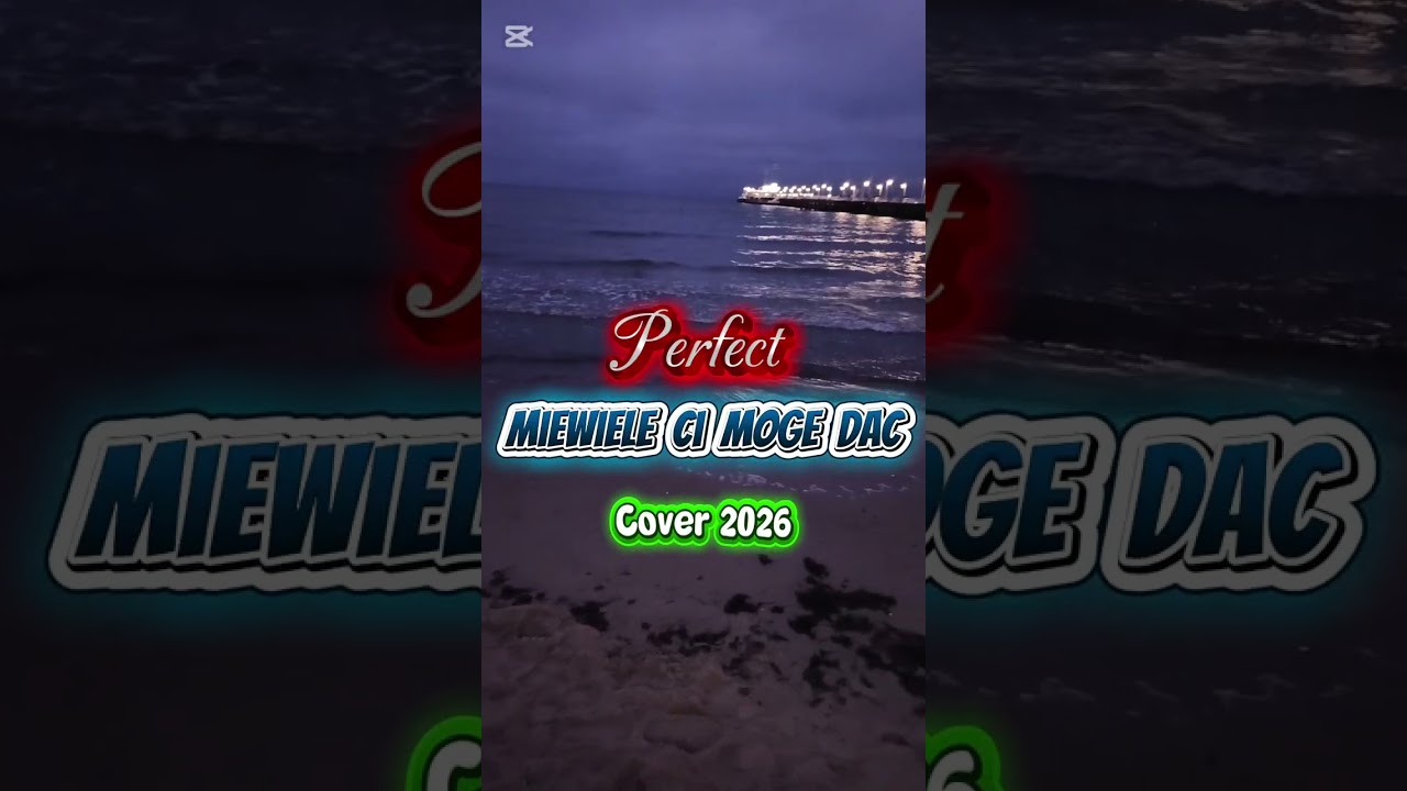 Perfect -Niewiele ci mogę dać (Cover 2026) Seba_dance