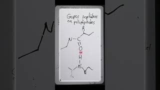 Puentes invisibles que sostienen la vida #cienciasobredosruedas #biologia #bioquimica #ciencia