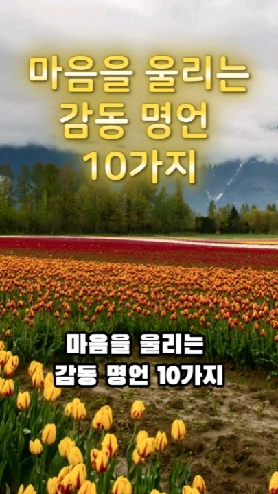 마음을 울리는 감동 명언 10가지 / #명언 #좋은글 #인생조언 - YouTube