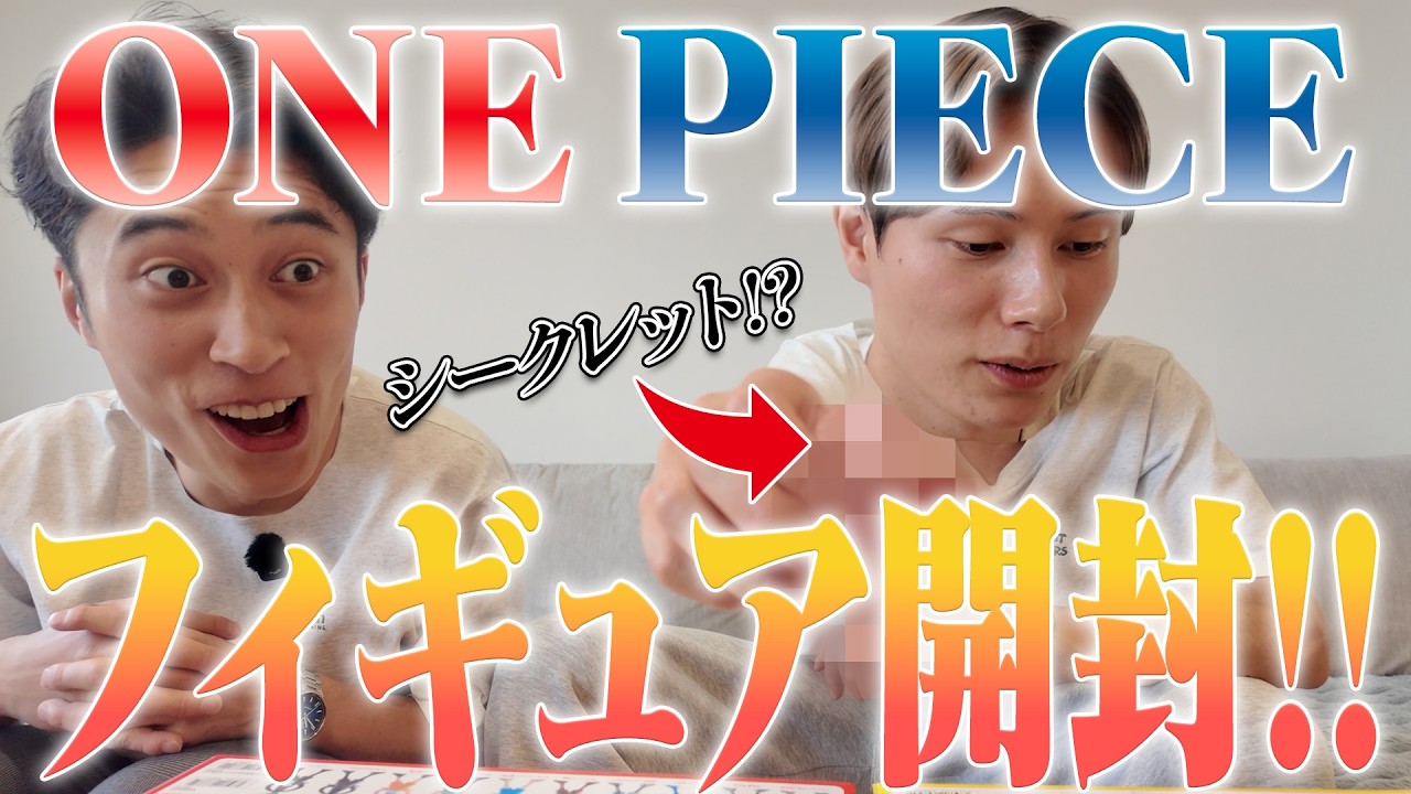 ONE PIECE「LUFFY's」を開封したら大興奮でした。