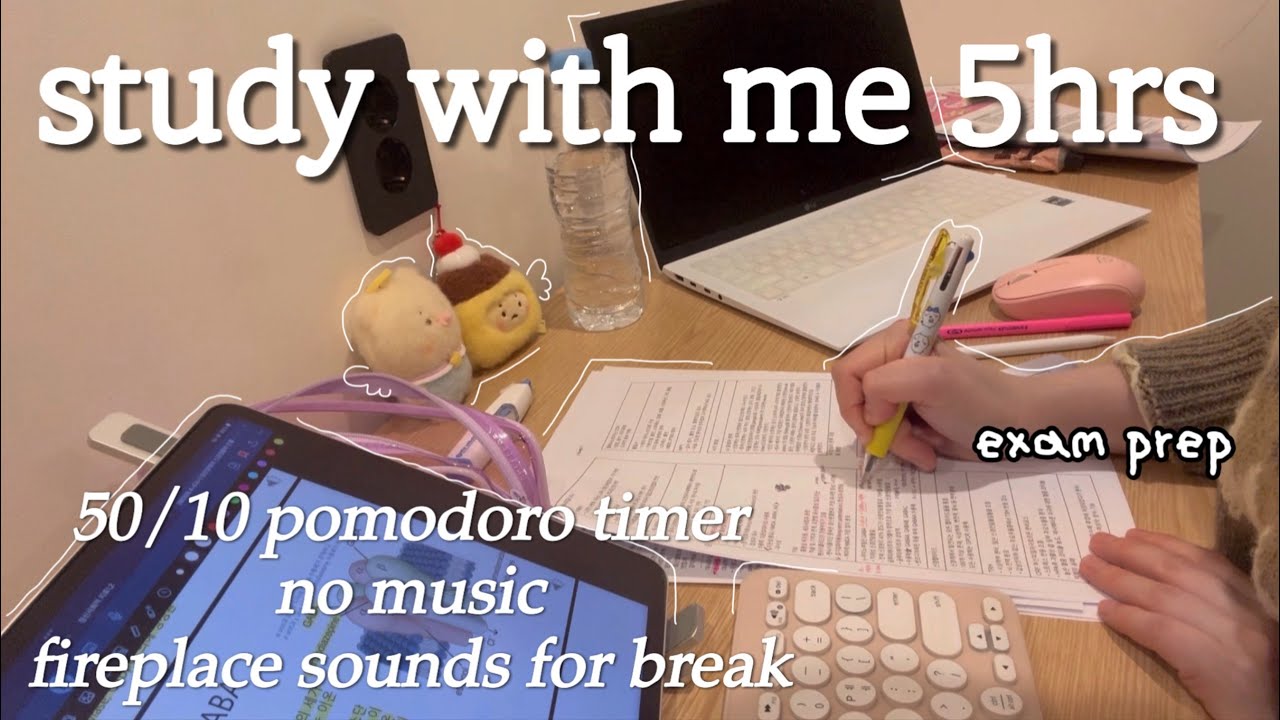 Study With Me 5 Hours📚 | 50/10 Pomodoro | Exam Prep | No Music | Fireplace Sounds During Breaks🔥
