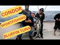 Early april giant bluefin tuna fishing condor sportfishing fishermans landing san diego ca