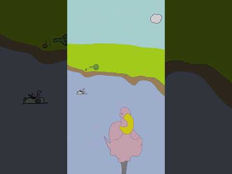 Fla-Meme-Go and Shrimpy