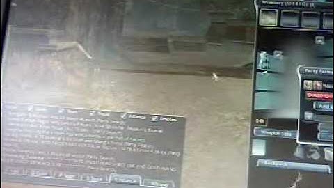 TexMod fail on GuildWars