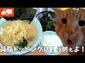 【山岡家】ネギ醤油ラーメンには背脂だろ!!??ほうれん草とライスも頼んで腹パンになってやるよ!!という話【クセになる味】#猫ミーム #猫マニ