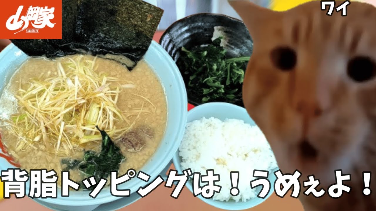 【山岡家】ネギ醤油ラーメンには背脂だろ!!??ほうれん草とライスも頼んで腹パンになってやるよ!!という話【クセになる味】#猫ミーム #猫マニ
