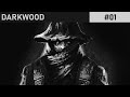 ГДЕ МЫ И КТО МЫ? | АТМОСФЕРНОЕ ПРОХОЖДЕНИЕ | DARKWOOD #01