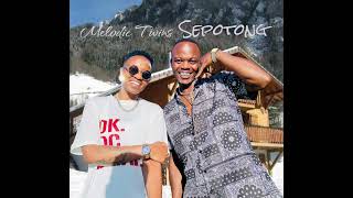 Melodic Twins - Sepotong