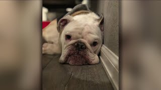 Denver7 News 10 P.M. | Friday, August 28