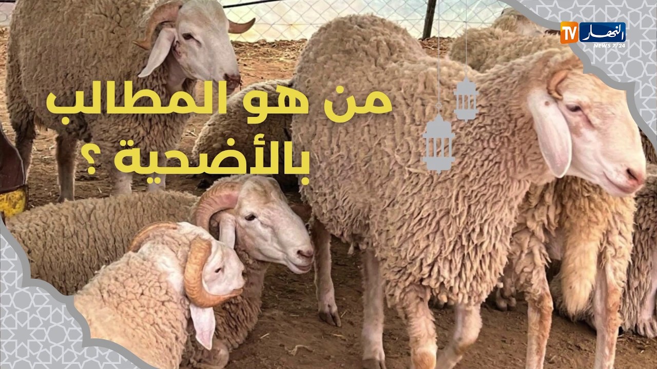 للإشتراك في قناتنا إضغط هنا http://goo.gl/as3vlY

"النهار تي في" أول فضائية إخبارية في الجزائر، الأخبار تصلكم حيثما كنتم أول بأول
موقعنا الإلكتروني  http://www.ennaharonline.com
موقعنا الإلكتروني للقناة https://www.ennaharonline.com/ennahar-tv/
رابط صفحتنا المليونية على الفايسبوك https://www.facebook.com/EnnaharTv
رابط صفحتنا على الأنستڨرام https://instagram.com/ennahar.tv
رابط صفحتنا على تويتر https://twitter.com/ennaharonline
رابط صفحتنا على تيك توك https://www.tiktok.com/@ennhar.tv

قناة النهار الإخبارية الأولى في الجزائر.. أخبار دون توقف
