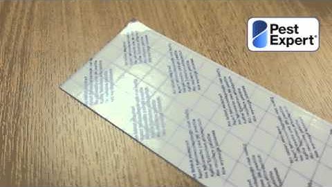 Demi Diamond Clothes Moth Trap Instructions