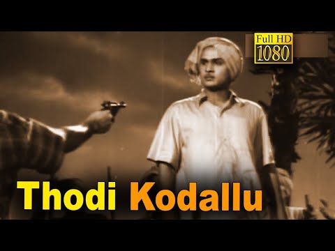 Thodi Kodallu still