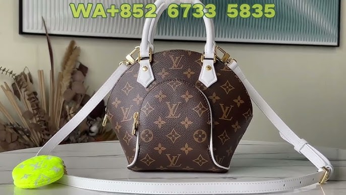 Louis Vuitton Monogram No Purse