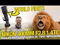 NEW Nikon 400mm F/2.8 with 1.4TC - field review wildlife photography with the Nikon Z9! How is it?