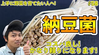 【#58】納豆菌について！病原菌の防除，作り方について！