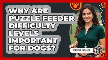 Why Are Puzzle Feeder Difficulty Levels Important For Dogs? - Obedient Dog Guide