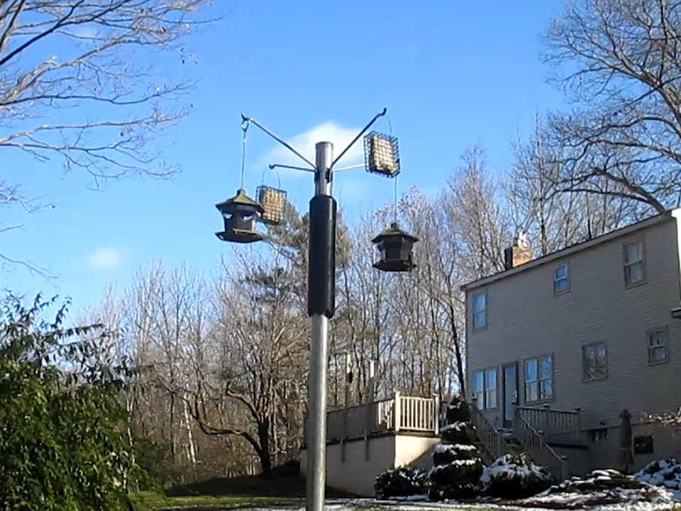 Bear Proof Bird Feeder Poles Prevent Bears From Eating Your Seed