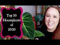 Top 10 Favorite Houseplants of 2020