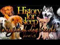 💤History For Sleep:"Dog Breeds Origins - pt.3"💤Bedtime Story For Grown Ups💤Sleep Documentary Podcast