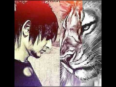 Gaurav Don new video