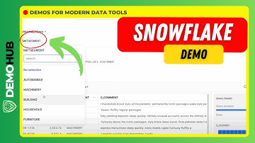 Snowflake Demo // ❄️ How To Quickly Create and Use Custom Filters In Snowflake | www.demohub.dev