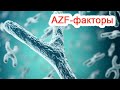AZF-факторы / Доктор Черепанов