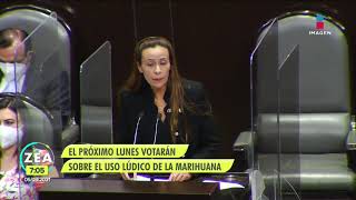 Diputados discutirán el lunes dictamen sobre el uso lúdico de la marihuana | Noticias con Francisco