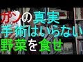 動物性タンパク質 取らない、動物性タンパク質 植物性タンパク質 違い】ガンを予防する最適解は栄養療法である理由 (WHOLE がんとあらゆる生活習慣病を予防する最先端栄養学)