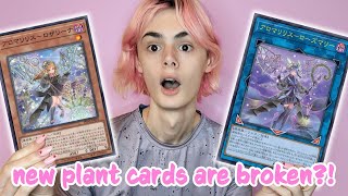 NEW PLANTS! Aroma Plant Combos + Deck Profile