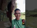 CHỮA LÀNH, ÔNG CHÚ ĐỘI MŨ khai đạo, giác ngộ giải thoát, thức tỉnh tâm linh, NAM MÔ A DI ĐÀ PHẬT