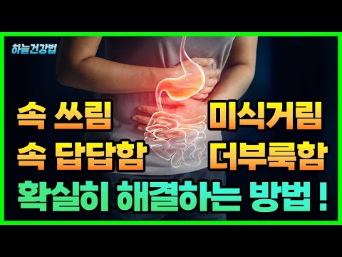 위장이 안좋을때, 소화 안될때 나타나는 대표적인 통증, 증상과 원인! 담적 해결 방법(지압, 음식)