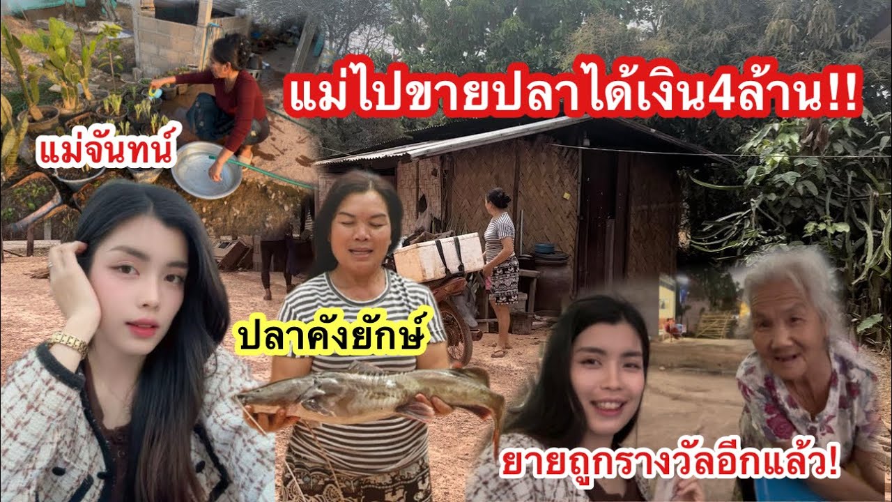 แม่ไปขายปลาได้เงิน4ล้านกีบ￼!! วันนี้พ่อได้ปลาน้อยเพราะมีพายุเข้าลมแรงมากๆ￼แม่จันทน์ปลูกผักหน้าร้าน