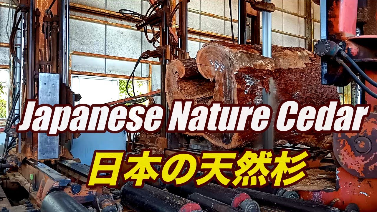 製材】Japanese natural cedar・日本の天然杉 - YouTube