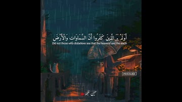تلاوه خاشعه جدا♡ الشيخ ياسر الدوسري ♡ حالات واتس اب قرآن
