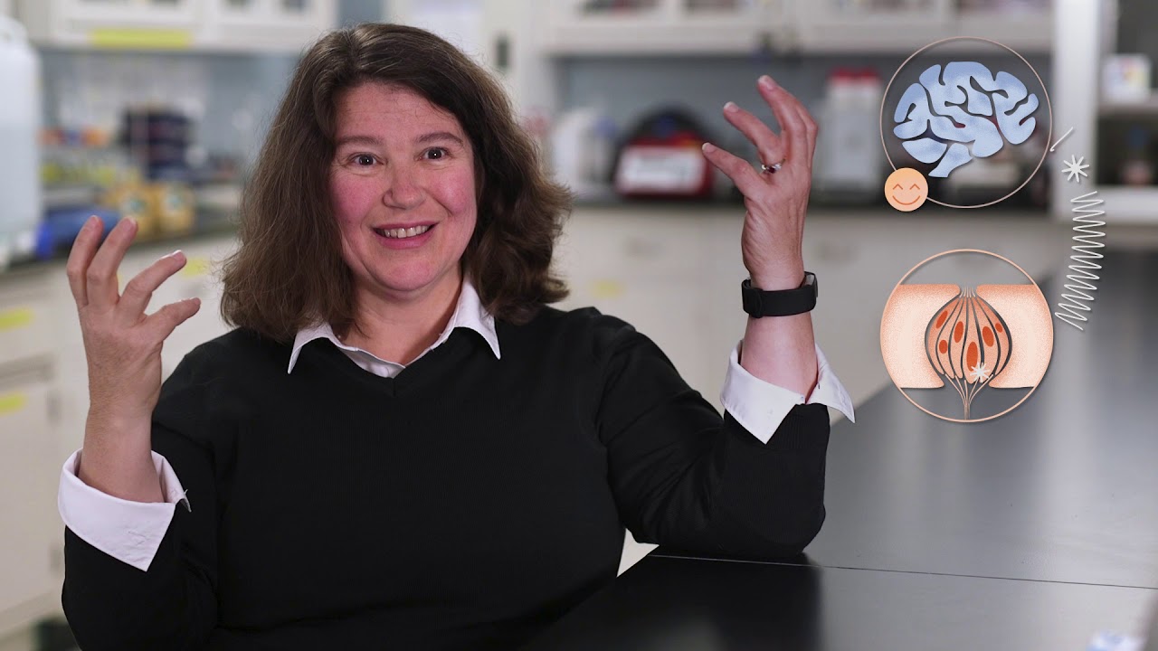 Using Bitter Taste to Understand Disease - Breakthrough Science