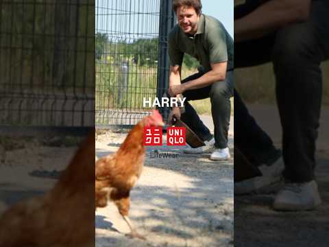 Harry shares his evryday outfit with UNIQLO AIRism @uniqlo_eu Find more on siliconluxembourg.lu