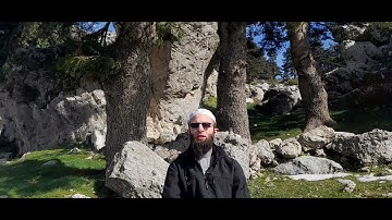 سورة الطارق || محمد شاكر