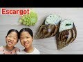 Escargo 프랑스 달팽이 요리 에스카르고 TwinRoozi Family Mukbang 쌍둥이루지 가족 먹방