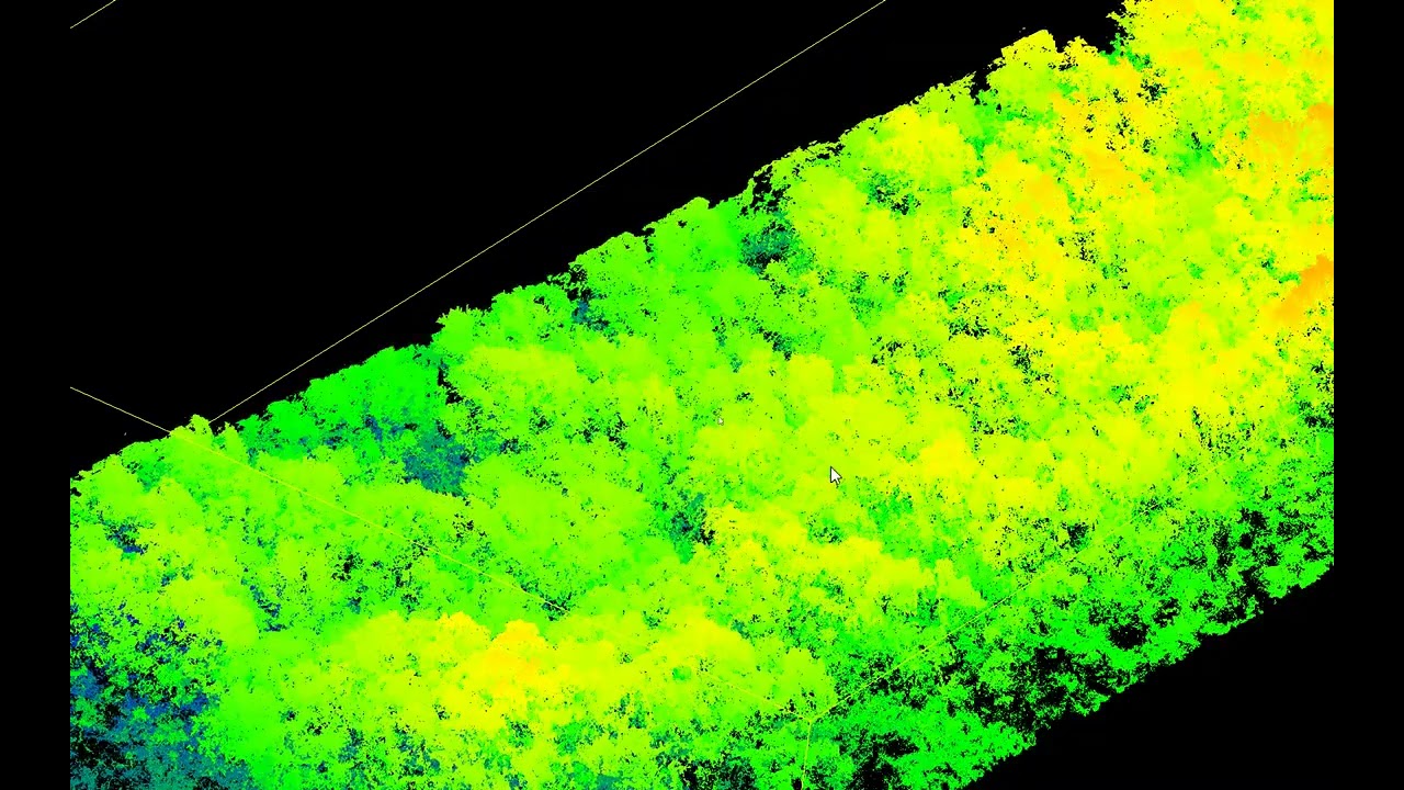 Canopy Height Model With Cloud Compare